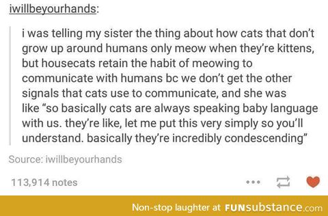 Cats.