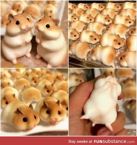 Japanese hamster bread