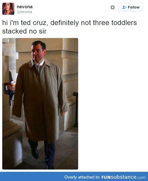 Toddler cruz