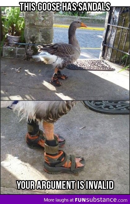 Goose with sandals