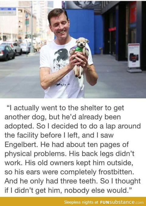 Faith in Humanity Restored