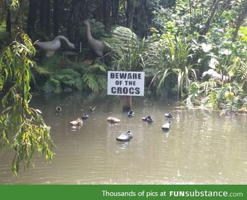 Beware of the Crocs