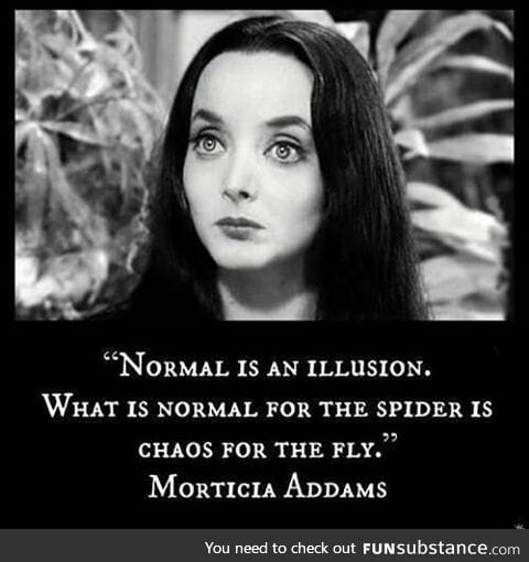 This is a surprisingly good quote from the Addam's Family