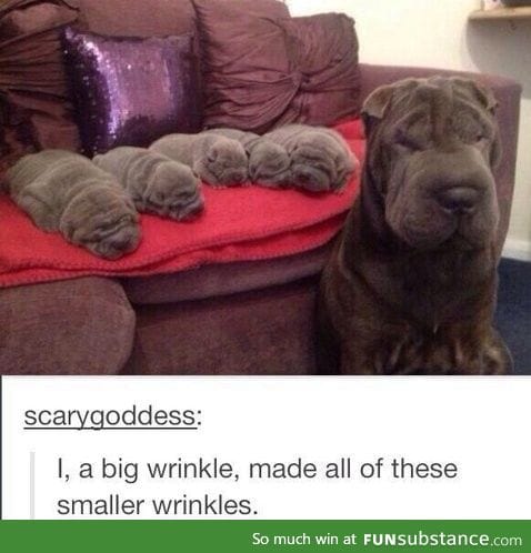 WRINKLESSSSSSSZSSZS