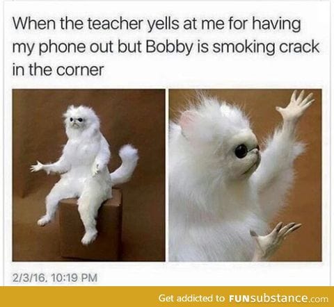 Dammit bobby