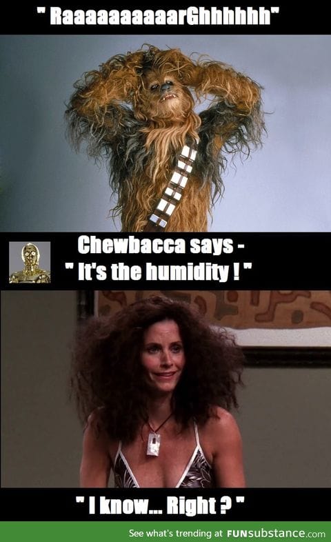 Star Wars - The Frizz Awakens