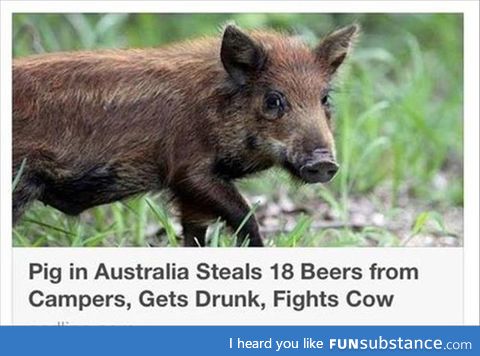 Australia in a nutshell