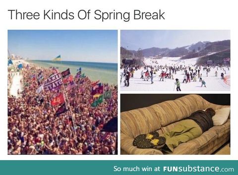 3 kinds of spring break