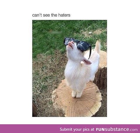 Can't see the haters