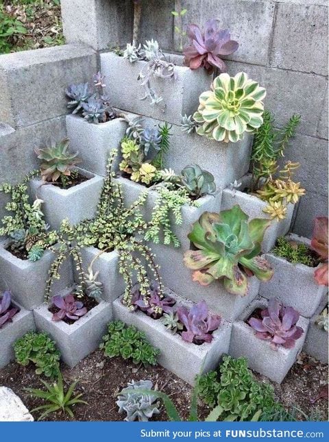 Cinder block garden idea