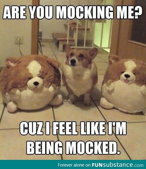 Are you mocking me?