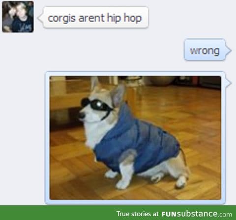 Corgis are very hip hop