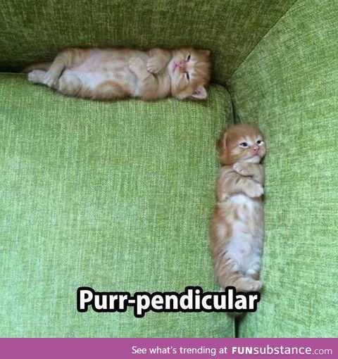 Purr-pendicular