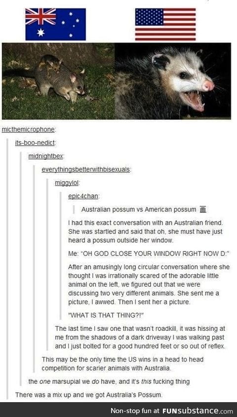 Possums. How do they work?