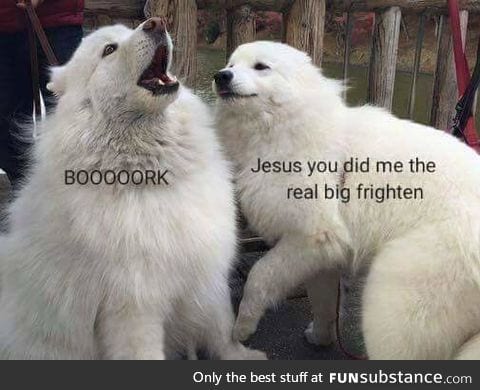 BORK BORK BORK