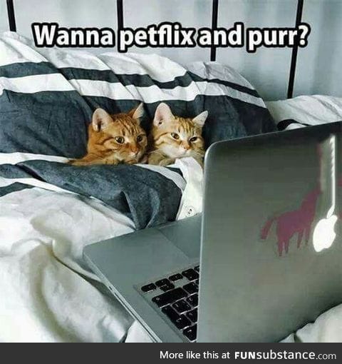 Petflix and Purr?