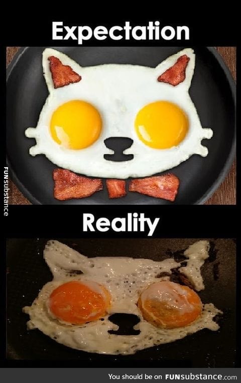 Expectation vs Reality