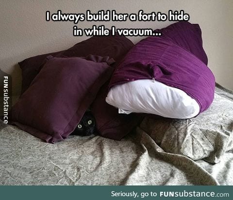 Cat fort