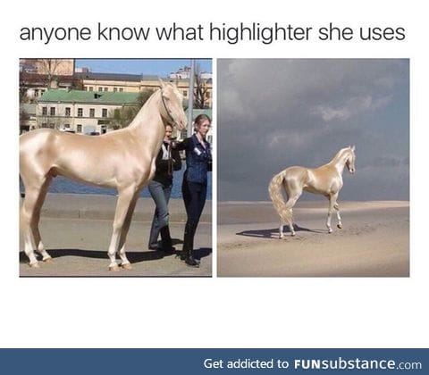 What highlighter does she use