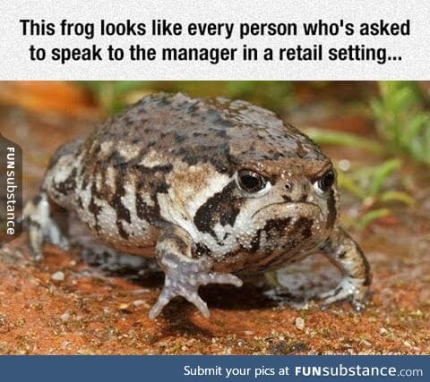 Grumpy frog