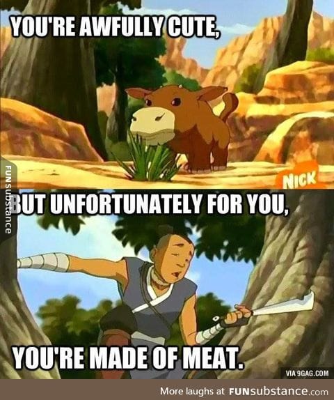 Sokka is right of course