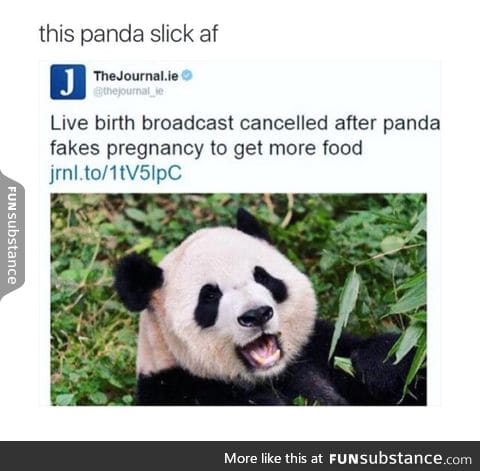 Smart panda