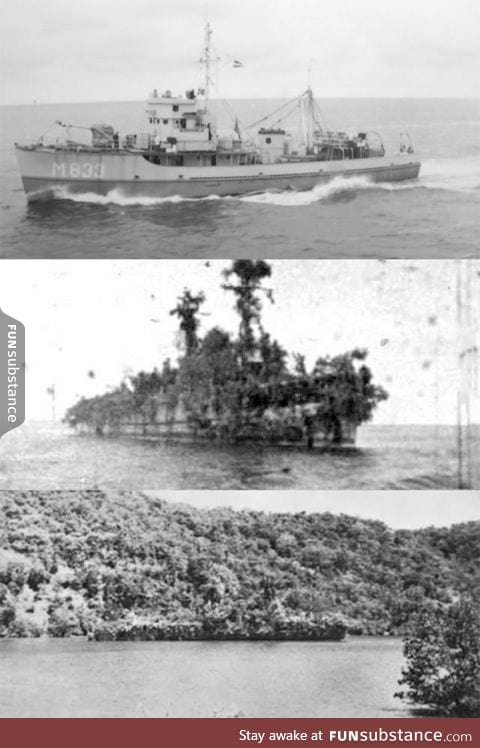 Dutch soldiers camouflaged a WWII ship for 8 days as an island to escape from the Japs