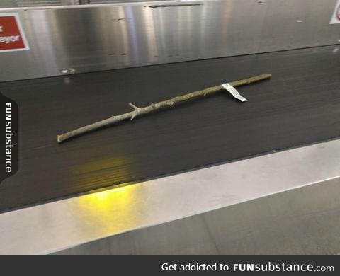 Someone checked in a stick at the airport