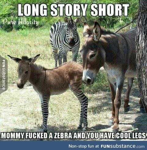 And this is how you get a zonkey