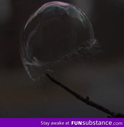 Bubble in the midst of being popped.