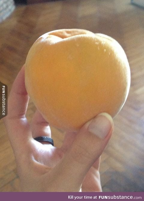 Ladies and gentleman this is a peachpricot half peach half apricot