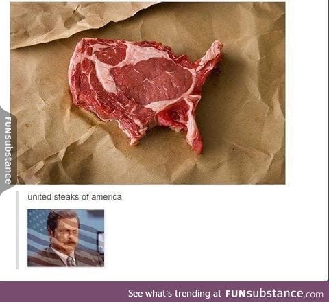 Ron Swanson: A True American Hero