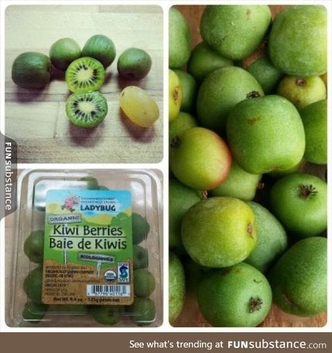 Kiwi berries