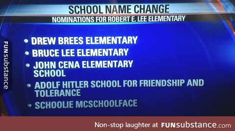 Local Elementary School is taking Submissions on their Name Change