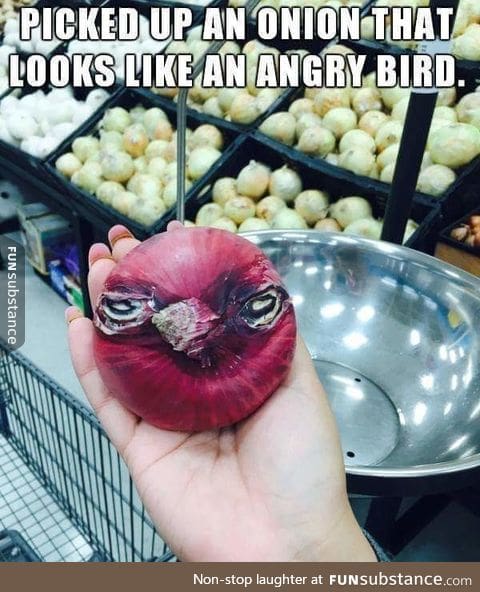 This onion looks like an angry bird