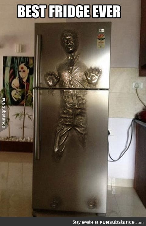 Solo carbonite fridge