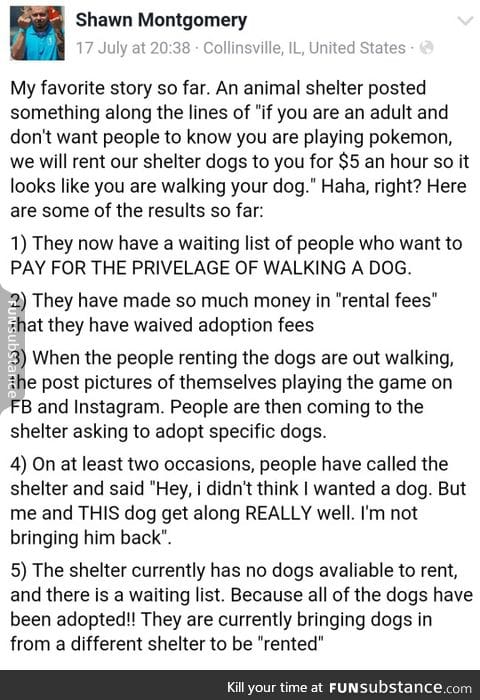 shelter profits off of pokemon go