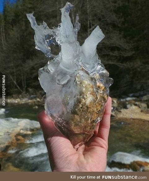 Found the heart of my ex