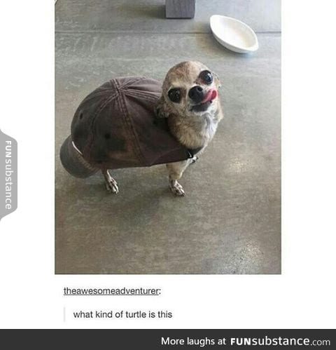 Bork shell, maybe?