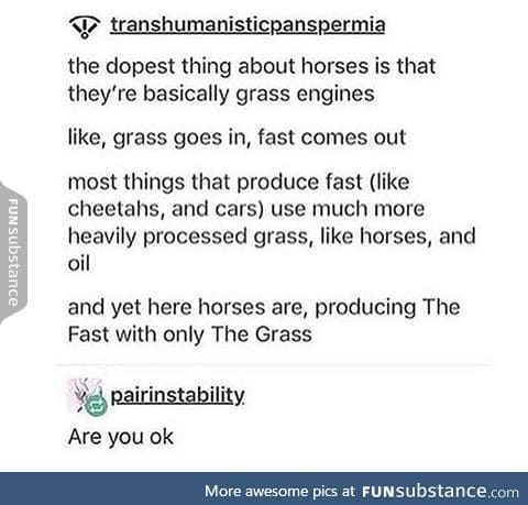 Grass give horses the fast