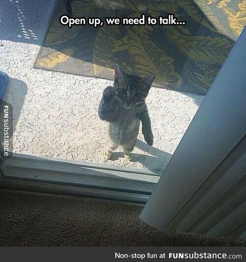 Open up right meow!