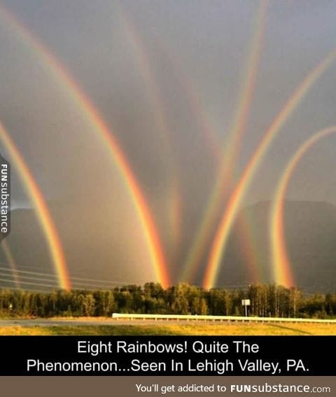 Rainbow farm