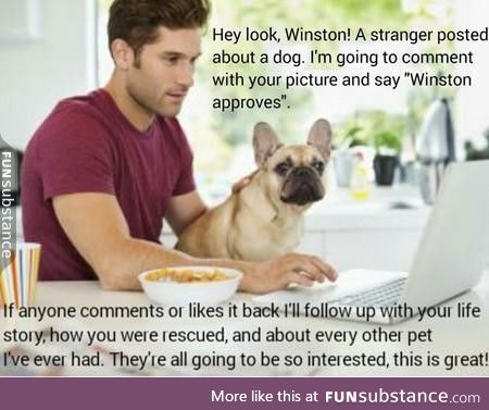 Hey look! A stranger posted about a dog