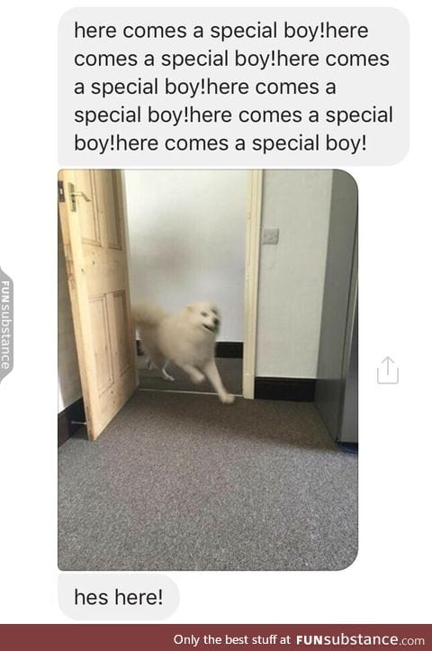 all doggos r speshal boys!!