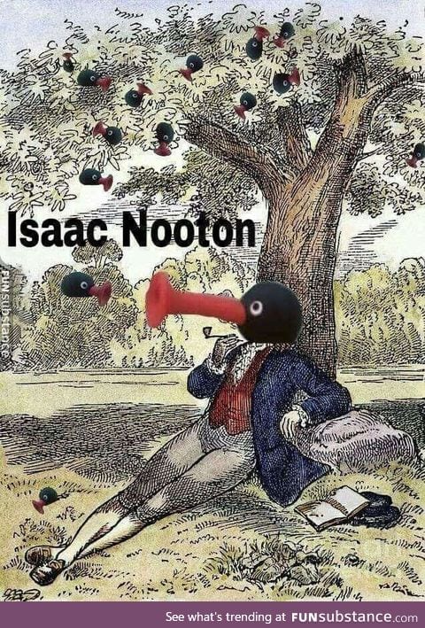 Noot noot