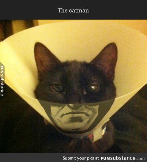 The catman