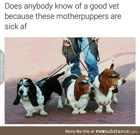 Sick puppers