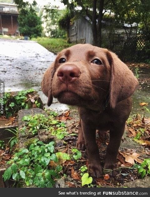 Taking in the smells