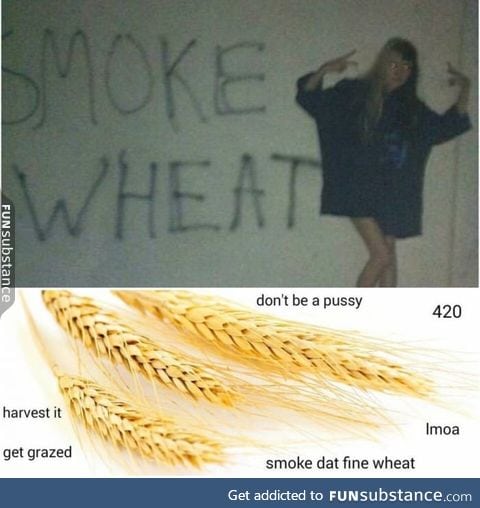 Smoke wheat everyday!