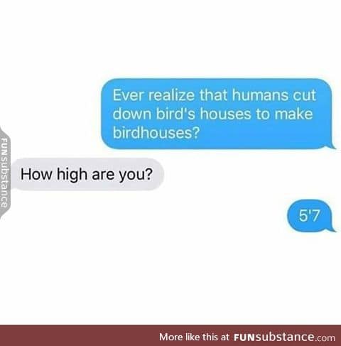 You're wisest when your high.